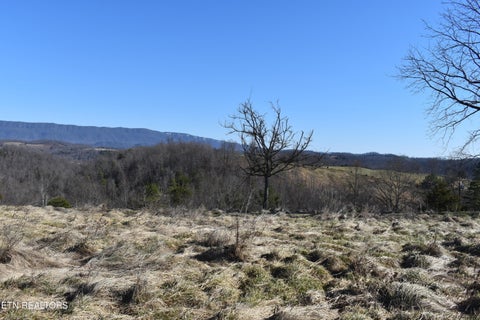Tiny photo for 787 Oak Grove Rd, Harrogate, TN 37752 (MLS # 1360087)