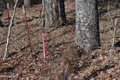 Tiny photo for 787 Oak Grove Rd, Harrogate, TN 37752 (MLS # 1360087)