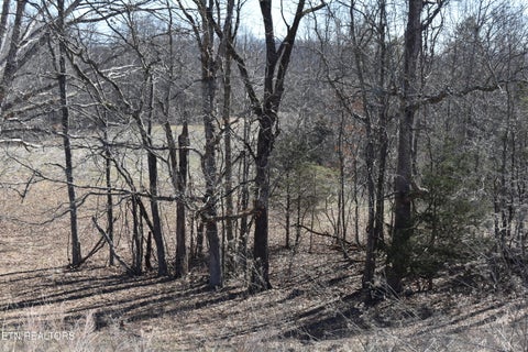 Tiny photo for 787 Oak Grove Rd, Harrogate, TN 37752 (MLS # 1360087)