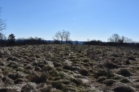 Tiny photo for 787 Oak Grove Rd, Harrogate, TN 37752 (MLS # 1360087)