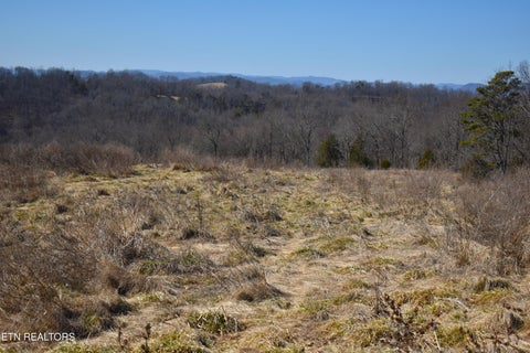 Tiny photo for 787 Oak Grove Rd, Harrogate, TN 37752 (MLS # 1360087)