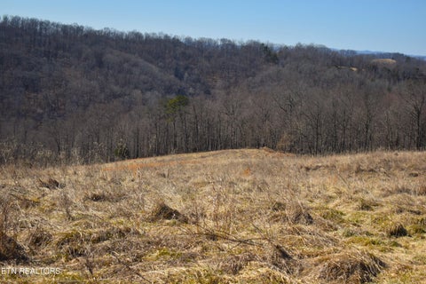 Tiny photo for 787 Oak Grove Rd, Harrogate, TN 37752 (MLS # 1360087)