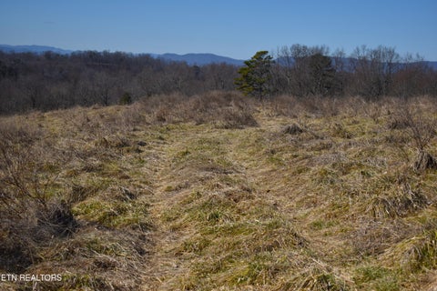 Tiny photo for 787 Oak Grove Rd, Harrogate, TN 37752 (MLS # 1360087)