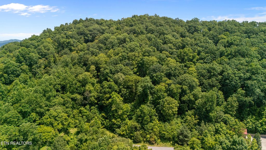 Photo of 94 Swan Song Tr, Sharps Chapel, TN 37866 (MLS # 1305908)