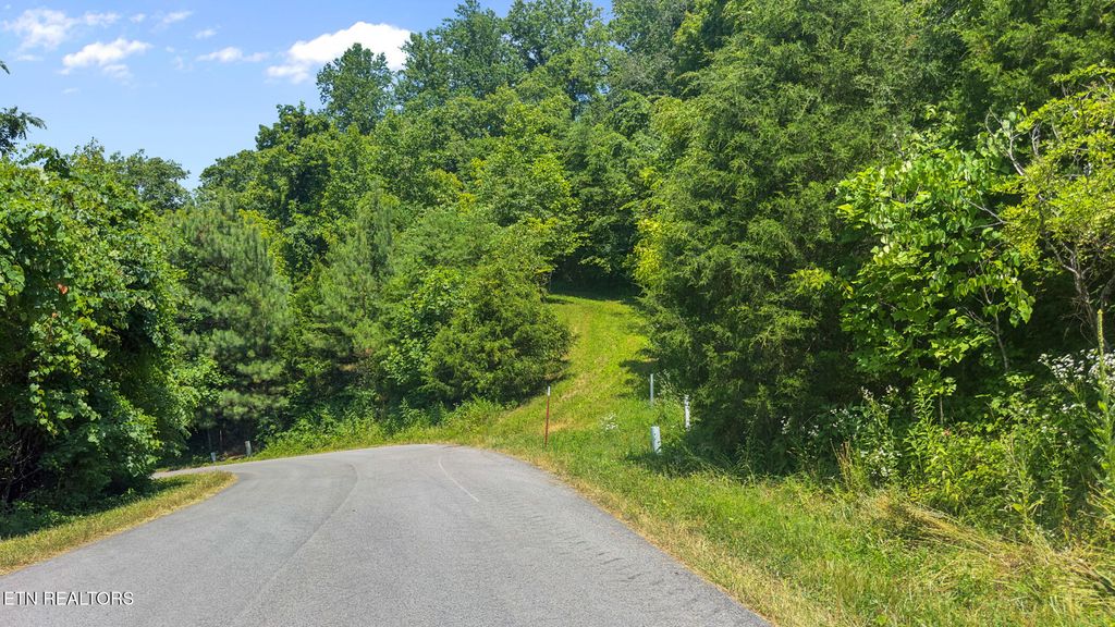 Photo of 94 Swan Song Tr, Sharps Chapel, TN 37866 (MLS # 1305908)