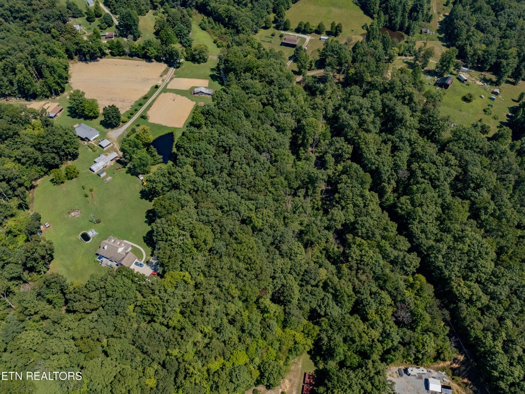 Photo of 0 Morgan Co (3.32 ac) Hwy, Lancing, TN 37770 (MLS # 1354787)