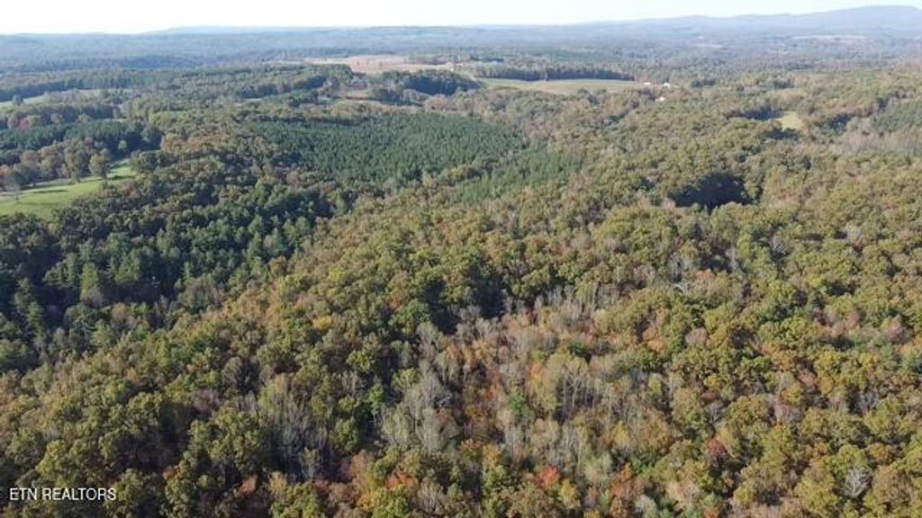 Photo of 42 Dogwood Rd, Grandview, TN 37337 (MLS # 1339366)