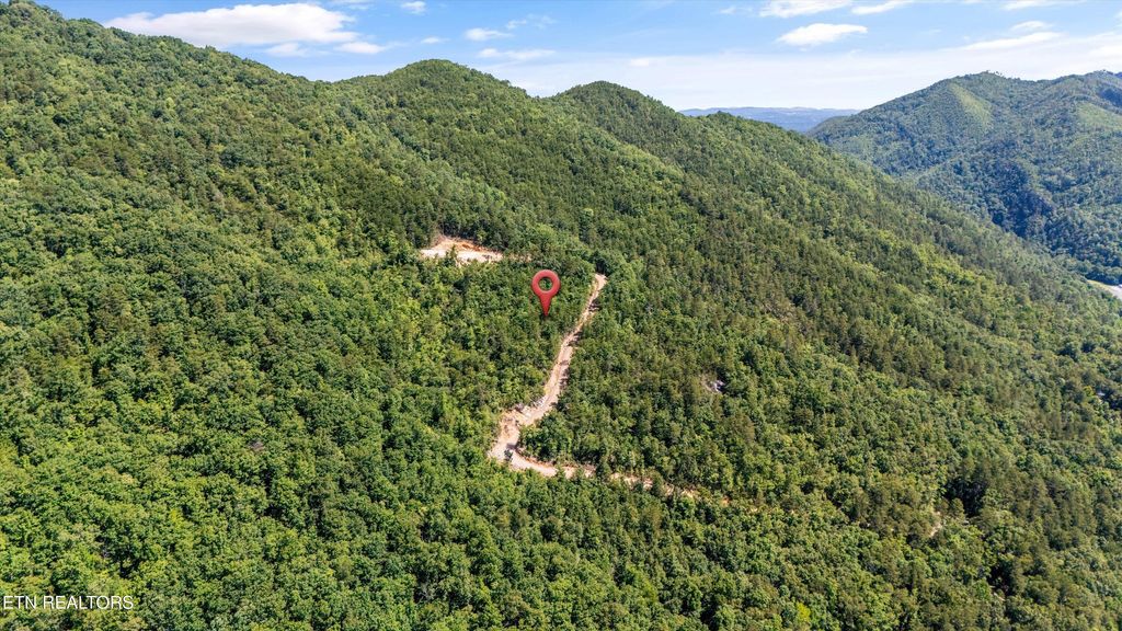 Photo of 216 Old Cove Rd, Walland, TN 37886 (MLS # 1305261)