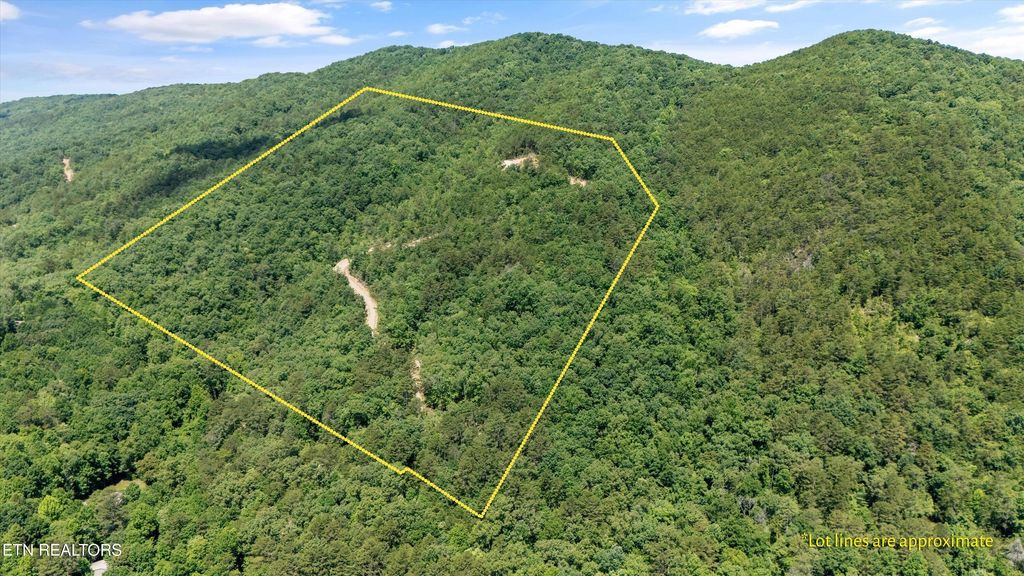 Photo of 216 Old Cove Rd, Walland, TN 37886 (MLS # 1305261)