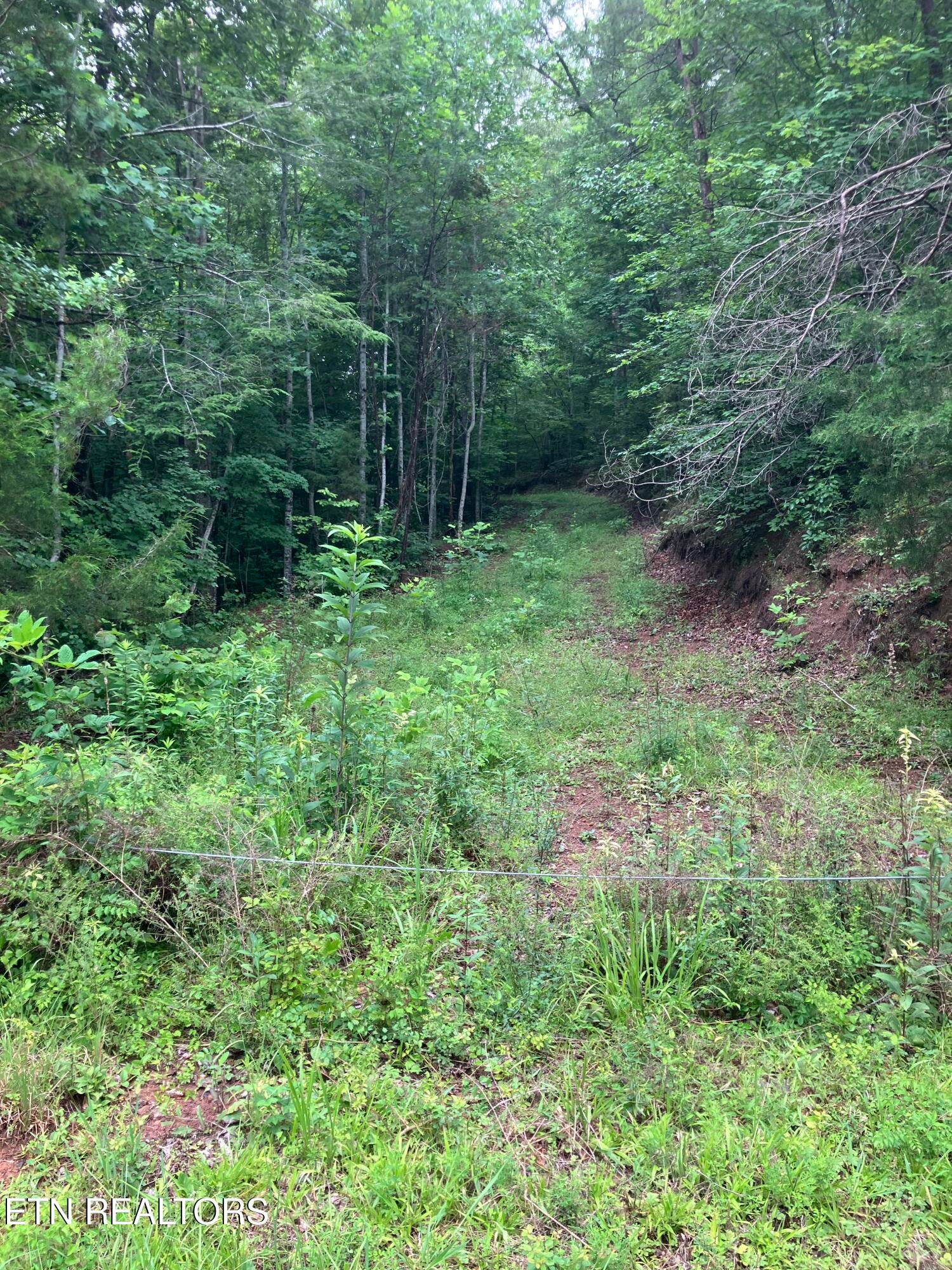 Tract 4 3 Point Rd