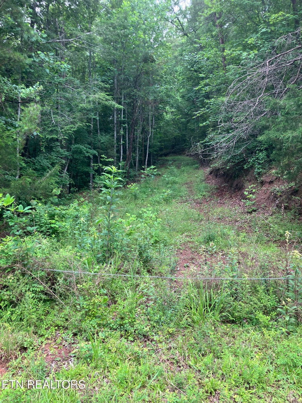 Photo of 4 3 Point Rd, Vonore, TN 37885 (MLS # 1344639)
