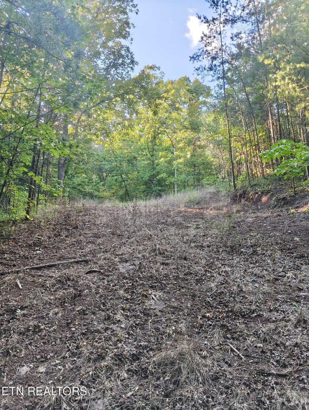 Photo of 4 3 Point Rd, Vonore, TN 37885 (MLS # 1344639)