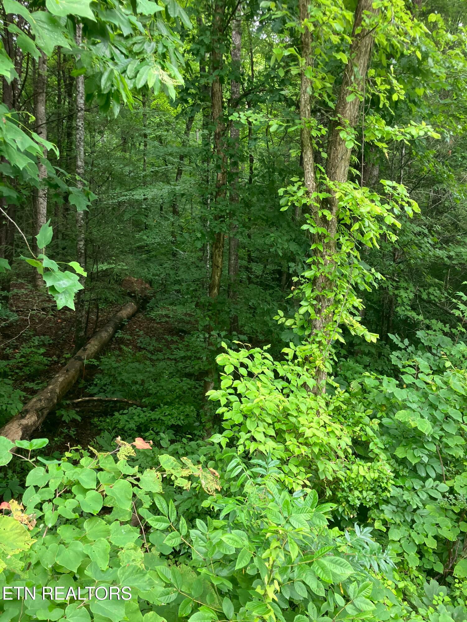 Tract 4 3 Point Rd
