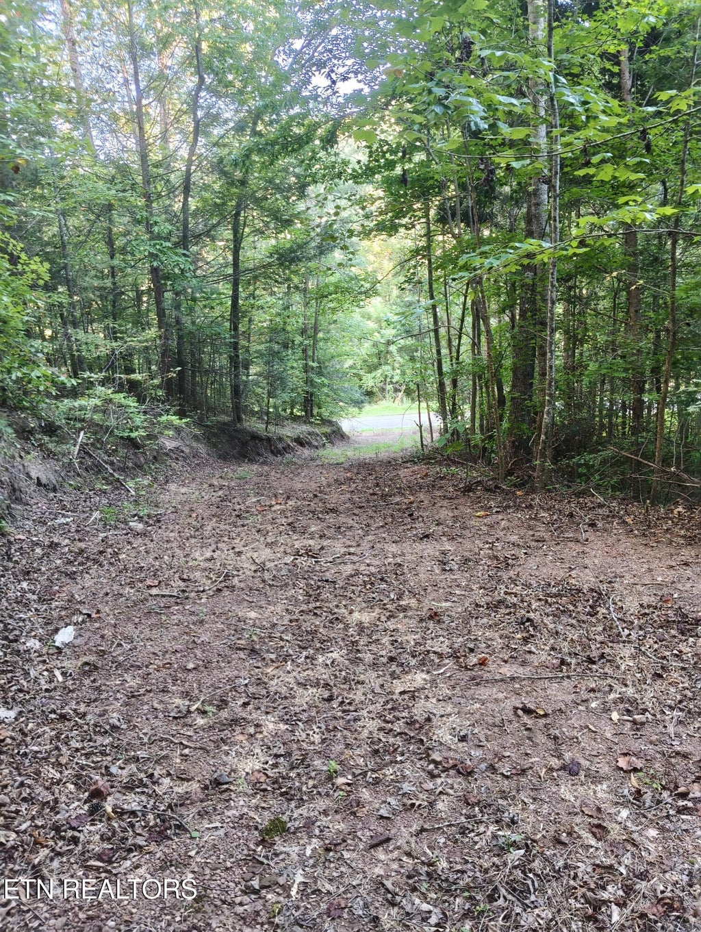 Photo of 4 3 Point Rd, Vonore, TN 37885 (MLS # 1344639)