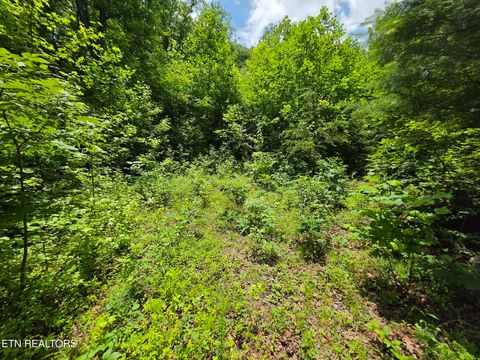 Tiny photo for 195 Sherwood Lane, Harriman, TN 37748 (MLS # 1342774)