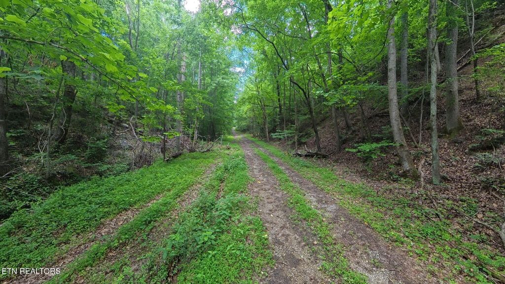 Photo of 195 Sherwood Lane, Harriman, TN 37748 (MLS # 1342774)