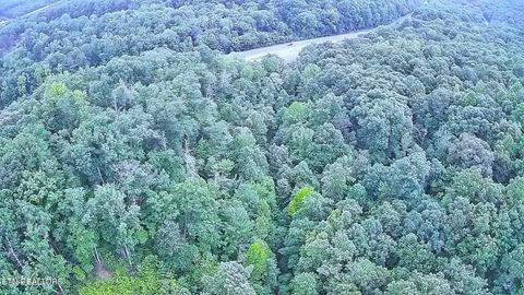 Tiny photo for 195 Sherwood Lane, Harriman, TN 37748 (MLS # 1342774)