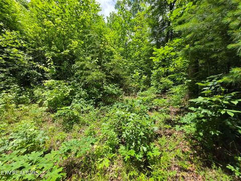 Tiny photo for 195 Sherwood Lane, Harriman, TN 37748 (MLS # 1342774)