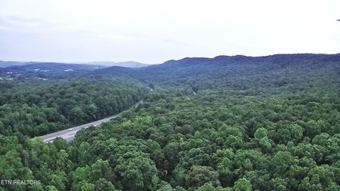 Tiny photo for 195 Sherwood Lane, Harriman, TN 37748 (MLS # 1342774)