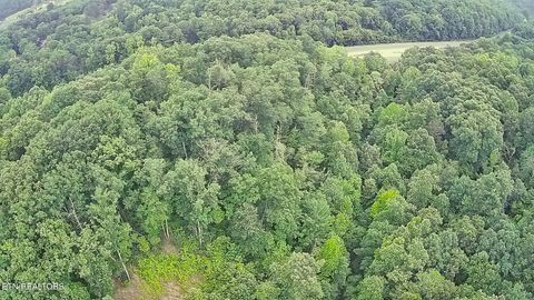 Tiny photo for 195 Sherwood Lane, Harriman, TN 37748 (MLS # 1342774)