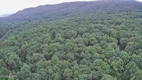 Tiny photo for 195 Sherwood Lane, Harriman, TN 37748 (MLS # 1342774)