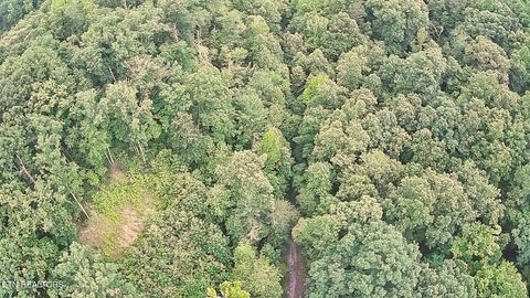 Tiny photo for 195 Sherwood Lane, Harriman, TN 37748 (MLS # 1342774)