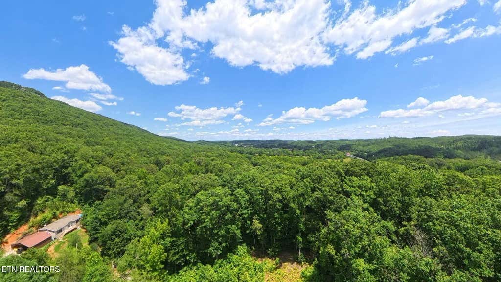 Photo of 195 Sherwood Lane, Harriman, TN 37748 (MLS # 1342774)