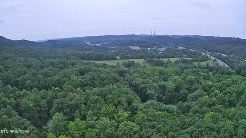 Tiny photo for 195 Sherwood Lane, Harriman, TN 37748 (MLS # 1342774)