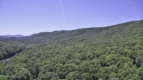 Tiny photo for 195 Sherwood Lane, Harriman, TN 37748 (MLS # 1342774)