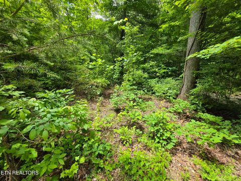 Tiny photo for 195 Sherwood Lane, Harriman, TN 37748 (MLS # 1342774)