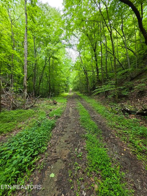 Tiny photo for 195 Sherwood Lane, Harriman, TN 37748 (MLS # 1342774)
