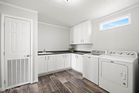 Tiny photo for 540 Conley Tr, Dandridge, TN 37725 (MLS # 1332815)