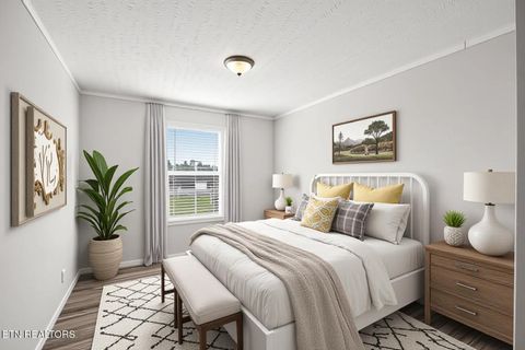 Tiny photo for 540 Conley Tr, Dandridge, TN 37725 (MLS # 1332815)