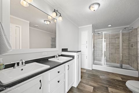 Tiny photo for 540 Conley Tr, Dandridge, TN 37725 (MLS # 1332815)