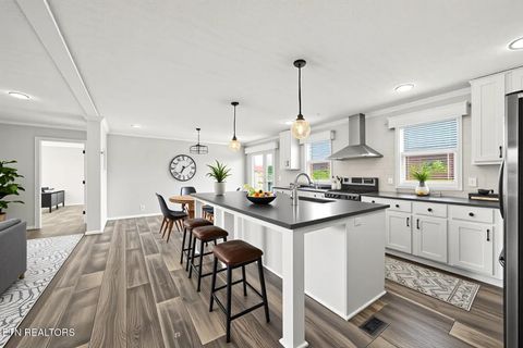 Tiny photo for 540 Conley Tr, Dandridge, TN 37725 (MLS # 1332815)