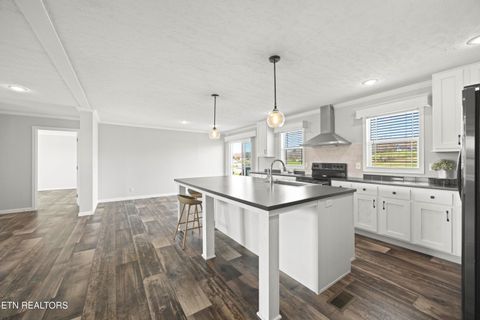 Tiny photo for 540 Conley Tr, Dandridge, TN 37725 (MLS # 1332815)