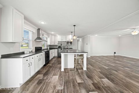 Tiny photo for 540 Conley Tr, Dandridge, TN 37725 (MLS # 1332815)