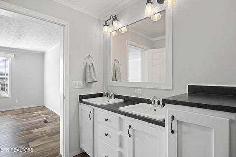 Tiny photo for 540 Conley Tr, Dandridge, TN 37725 (MLS # 1332815)