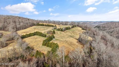 Tiny photo for 3730 Highway 131, Washburn, TN 37888 (MLS # 1330154)