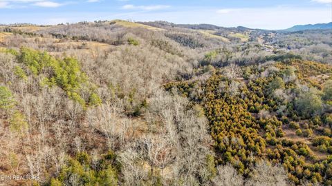 Tiny photo for 3730 Highway 131, Washburn, TN 37888 (MLS # 1330154)