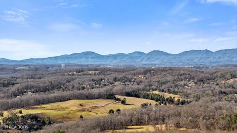 Tiny photo for 3730 Highway 131, Washburn, TN 37888 (MLS # 1330154)