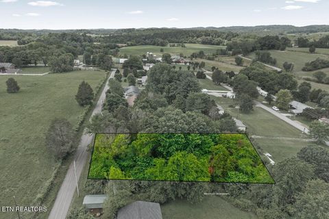 Photo of 00 Buck Brown St, Englewood, TN 37329 (MLS # 1342687)