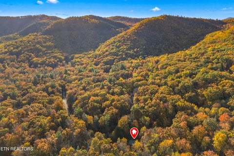Tiny photo for 3391 Laurelwood Rd, Cosby, TN 37722 (MLS # 1341833)