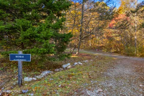 Tiny photo for 3391 Laurelwood Rd, Cosby, TN 37722 (MLS # 1341833)