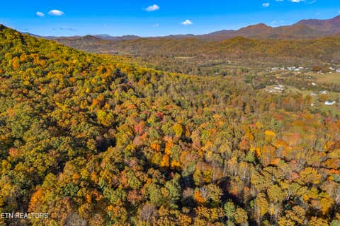 Tiny photo for 3391 Laurelwood Rd, Cosby, TN 37722 (MLS # 1341833)