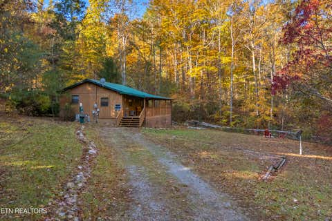 Tiny photo for 3391 Laurelwood Rd, Cosby, TN 37722 (MLS # 1341833)
