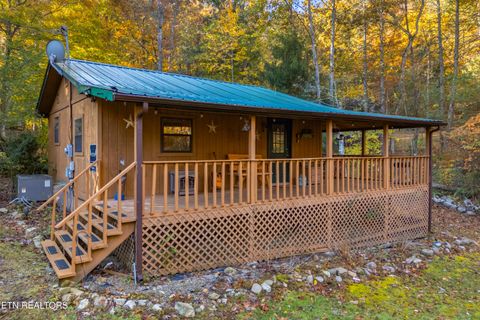 Photo of 3391 Laurelwood Rd, Cosby, TN 37722 (MLS # 1341833)
