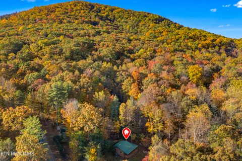 Tiny photo for 3391 Laurelwood Rd, Cosby, TN 37722 (MLS # 1341833)