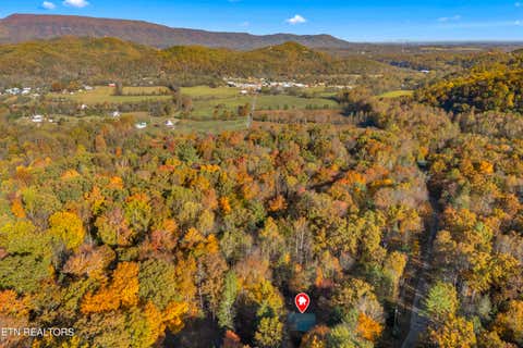 Tiny photo for 3391 Laurelwood Rd, Cosby, TN 37722 (MLS # 1341833)