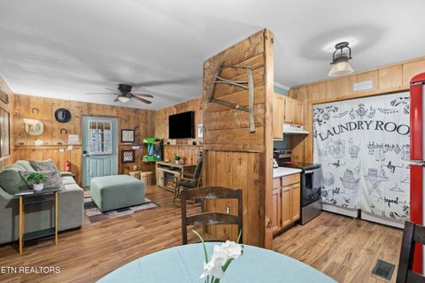 Tiny photo for 3391 Laurelwood Rd, Cosby, TN 37722 (MLS # 1341833)